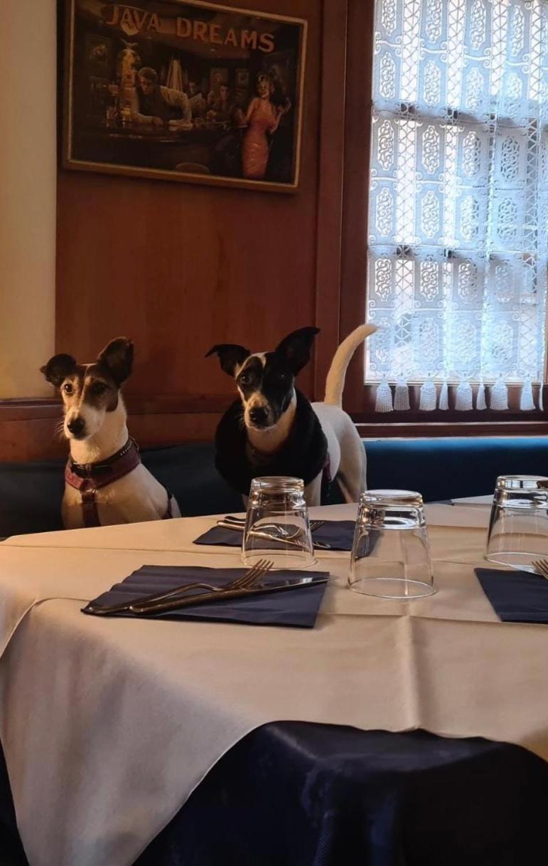 Hotel La Piazzetta Vidiciatico Kültér fotó